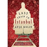 Last Train to Istanbul: A Novel
