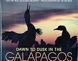 DAWN TO DUSK IN THE GALAPAGOS: Flightless Birds, Swimming Lizards and Other Fascinating Creatures by 