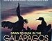 DAWN TO DUSK IN THE GALAPAGOS: Flightless Birds, Swimming Lizards and Other Fascinating Creatures by 