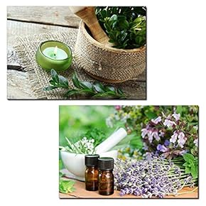 2 Panel Canvas Wall Art - Spa Concept with Flowers and Plants - Giclee Print Gallery Wrap Modern Home Art Ready to Hang - 16"x24" x 2 Panels