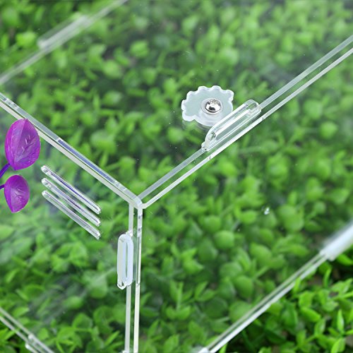 Coospider Reptile Amphibian Terrarium Vivariums Rock Back Feeding Habitat Kit Horizontal Size t12“ L x 8" W x 6" H
