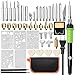 Wood Burning Kit,46PCS Professional Pyrography Pen Set 60W/110V Adjustable Temperature Craving Tools Wood Burner Soldering Iron Tool Set with 5PCS Stencils+32 Different Tips,2 Pencils (Green)