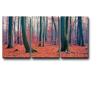 Three Piece Canvas - Tree Forest During Fall Time with Orange Leaves on The Ground on 3 Panels - Canvas Art Home Art - 16x24 inches