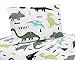 4 Piece Queen Sheet Set for Blue and Green Modern Dinosaur Bedding Collection