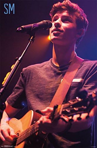 Custom Shawn Mendes Home Decoration Photo Poster Prints 20 x 30 Inch Wall Sticker