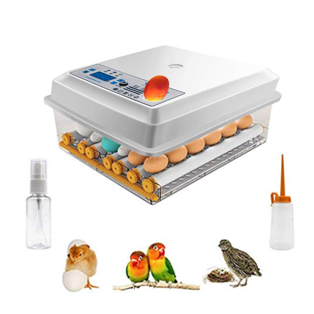 Kacsoo Eggs Incubator 16 Eggs Digita Mini Automatie Incubatores with