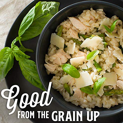 Lundberg Family Farms Traditional Italian Risotto, Alfredo