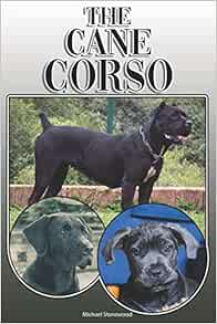 cane corso for first time owners