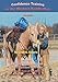 Confidence Training for the Western Saddle Mule by Cindy K Roberts