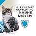 Purina Pro Plan With Probiotics, High Protein Dry Kitten Food, Chicken & Rice Formula - 7 lb. Bag