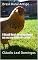 Livro Brasil Rural Antigo: O Brasil Rural de antigamente em versos estilo de cordel
