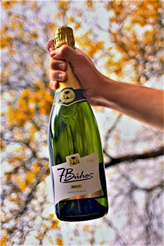 Sket Brut 7 Búhos - Schaumwein - 1 Flasche 750 ml - Kräftiger Sekt - Cava subtil fruchtig - Macabeo und Parellada… – Bild 3