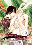 Sweet Blood Volume 2 by Seyoung Kim