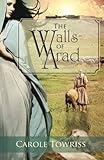The Walls of Arad (Journey to Canaan) (Volume 3)