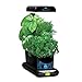 AeroGarden Sprout with Gourmet Herb Seed Pod Kit, Black