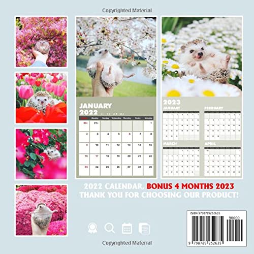 Calendrier 2023 Photoshop Graphique The Happiest Hedgehog Calendar 2022: Lovely & Cutiest Baby  Animal. Decor Lunar Moon Phases | Kalender Calendario Calendrier | Bonus 4  Months 2023: Thomson, Ink: 9798789252635: Amazon.com: Books