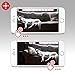 RCA Pet Camera for Dog & Cat Parents - WiFi Pet Security Camera with HD Video, 2 Way Audio, Night Vision, Motion & Sound Alerts & Phone App to Monitor & Talk to Your Pets, White, Small