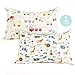 Kids Toddler Pillowcases-2 Pack Pillow Cover for Boys Girls Kids Bedding,Animal Paradise/Car