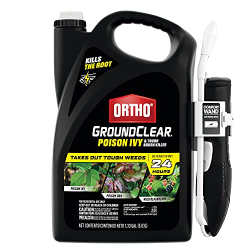 Best Blackberry Bush Killer of 2026: Complete Buying Guide