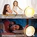 Alarm Clock Wake Up Light,XIRON Light Alarm Clock with Sunrise/Sunset Simulation,Dual Alarms and Snooze Function, 7 Colour Atmosphere Lamp, 7 Natural Sounds and FM Radio for Kids Adults Bedroom