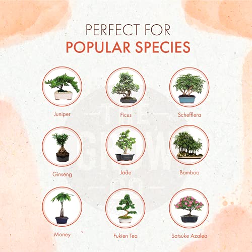 Bonsai Plant Food Organic Liquid Fertilizer Gentle Formula for Long