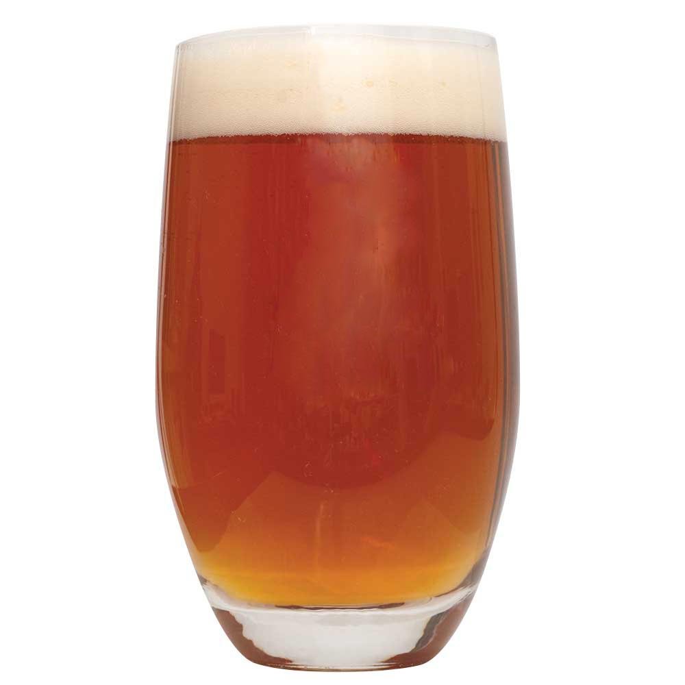 Best 5 gal home brewing kit