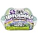 Hatchimals CollEGGtibles Season 3 - RHYTHM RAINBOW - 2 pack Egg Carton