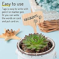 YANSHON Jardín Marcadores Etiquetas de Plantas de bambú 50pcs con ...