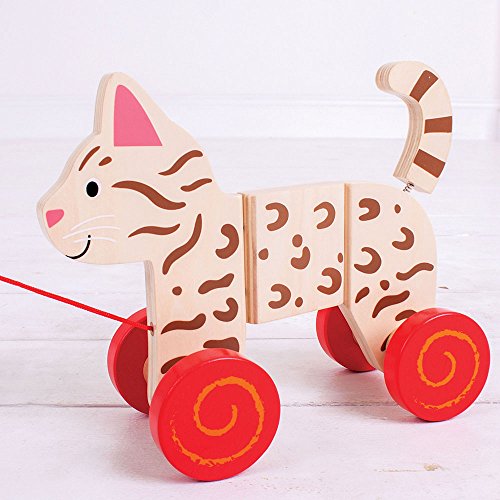 Bigjigs Toys Cat Pull Along