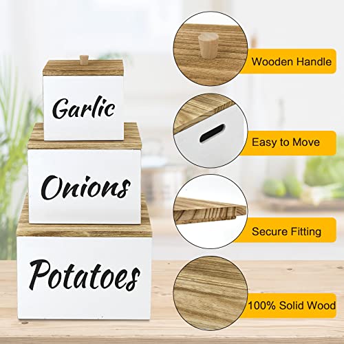 Potato and Onion Storage Bin Set of 3, Farmhouse Kitchen Storage