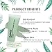 Benatu Green Clay Mask - 100% Natural & Organic Dead Sea Mud + Silicone Brush for Face [ACNE] 75g