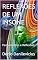 Livro REFLEXÕES DE UM INSONE: Pensamentos e Reflexões