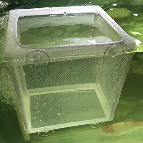 5 NGe+Aquarium+Isolation+Hatching+Incubator