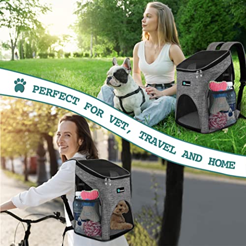 PetAmi Premium Pet Carrier Backpack for Small Cats and Dogs