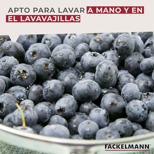 Coador e escorredor de cozinha fackelmann, aço inoxidável, peneira com borda redonda para coar e drenar líquidos, 20 centímetros, cor aço inoxidável, 20x9 cm, 1 unid.