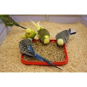 Bird Food for All Birds by Money Saving-500g