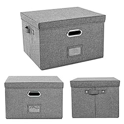 JSungo File Box with 5 Hanging Filing