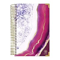 HARDCOVER bloom daily planners 2019-2020 Academic Year Day Planner - Passion/Goal Organizer - Monthly & Weekly Dated Calendar Agenda Book - (August 2019 - July 2020) - 6" x 8.25" - Purple Agate