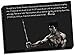 Panther Print Bruce Lee Canvas Inspiration Qoute 2 Print Poster Large 30X20 Inches A1