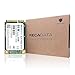 RECADATA mSATA III High Level Enterprise Class Internal Solid State Drive SSD (64GB)