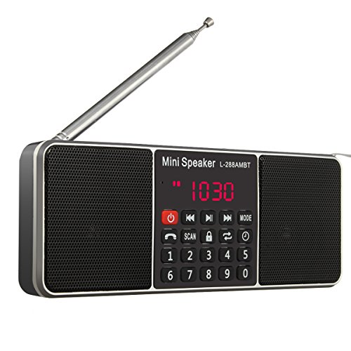 Bluetooth Radio Speaker,ELEGIANT Portable Multifunction Dual Channel Digital AM/FM Radio Media Wireless Speake