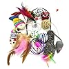 Katzenspielzeug, PietyPet Katze Toys Variety Pack, Spielzeug für Katzen Kitty, 13 Stück