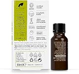 Dr Organic Tea Tree Nail Solution Purifying Conditioning 10ml view 2
