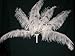Six Star Sales Ostrich Deluxe Formal Snow White Feather Plume 18-24