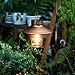 EKQ ROJOY 1Pack Upgrade Hanging Solar Lights Lantern with 1 Shepherd Hook,Metal Solar Waterproof Lantern for Pathway Garden Outdoor (1Pack) (Coppe)