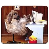 Funny Cute Animal Rabbit Bunny Personalized Custom Gaming Mouse Pad Rubber Durable Computer Desk Stationery Accessories Mouse Pads For Gift MP0534