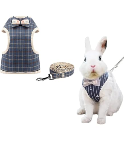 Living World Small Harness And Lead Set For Hamsters, Gerbils, Small Rats - Adjustable, Assorted Colors