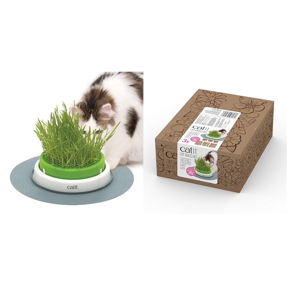 Catit Senses Grass Planter Cat Grass Kit - Pack of 3 for the Senses Grass Planter