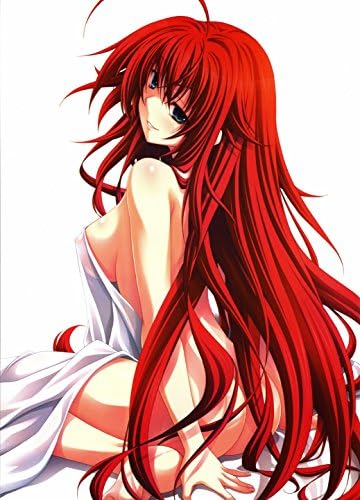 High School DXD New Poster Fabric Painting For Anime Rias Gremory 063 L 17x13