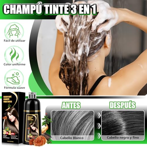 Shampoo con Tinte 3 en 1 Hair Dye Shampoo Negro Cubre Canas al Instante Extracto Jengibre y Ginseng Tratamiento Capilar Colorante 500ml para Todo Tipo de Cabello Mujer y Hombre